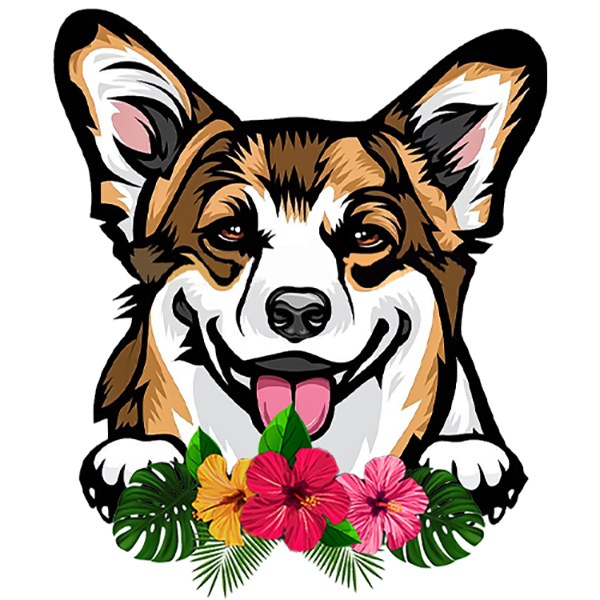 Pembroke Welsh Corgi