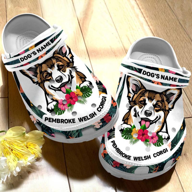 corgi slippers men