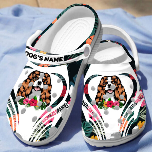 Cavalier King Charles Spaniel Shoes – SpreadShoes
