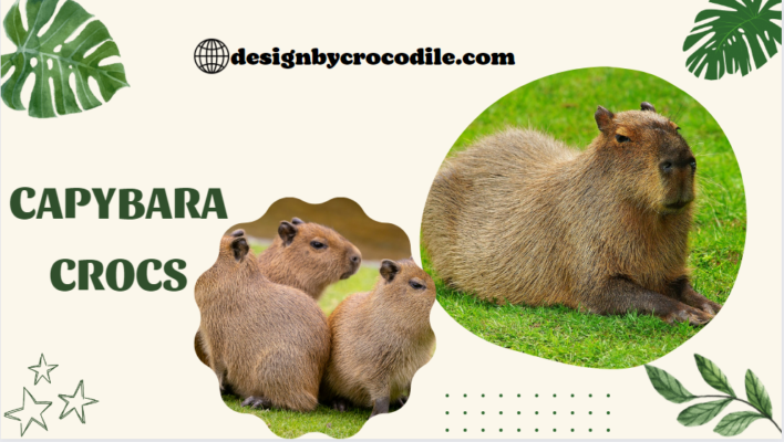 Capybara Crocs - Design By Crocodile